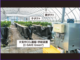 環境にやさしい二酸化炭素供給装置によるイチゴの増収技術